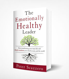 The Emotionally Healthy Leader – Book Product Image