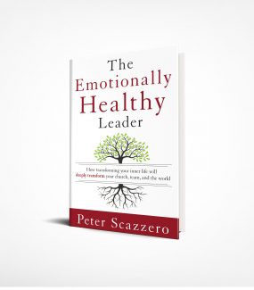 The Emotionally Healthy Leader – Book Product Image